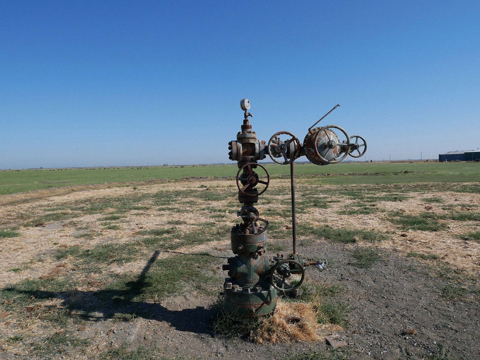 A solitary orphan wellhead equipment setup in a vast, open field under a clear blue sky, indicative of the oil and gas industry's remote operations, with valves and pipes for controlling well pressure and flow.