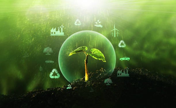 Conceptual image of a young plant sprouting from the ground with a glowing green globe in the background, symbolizing renewable energy and eco-friendly technologies. Icons representing sustainable practices such as recycling, wind power, and eco-housing are floating around the plant, all bathed in a weather-like atmosphere with rays of sunlight filtering through.