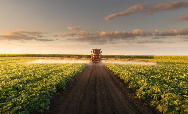 Tractor spraying crops at sunset in a lush, expansive farmland, illustrating modern agriculture practices and the balance between food production and the management of environmental resources like soil and water.